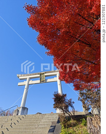 京都長岡京市長岡天満宮紅葉 121307881
