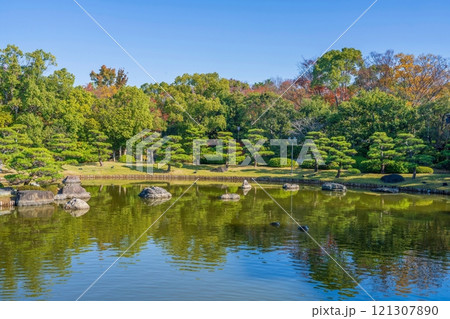 立派な枝振りの松がある日本庭園の秋の情景 121307890