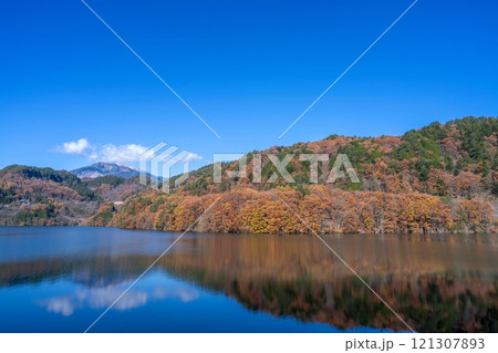 青空バックに見るカラフルな紅葉に囲まれた御岳湖と御岳山の情景 青空バックに見るカラフルな紅葉に囲まれた御岳湖と御岳山の情景 121307893