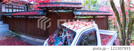 241118日枝神社z025~034-S 241118日枝神社z025~034-S 121307955