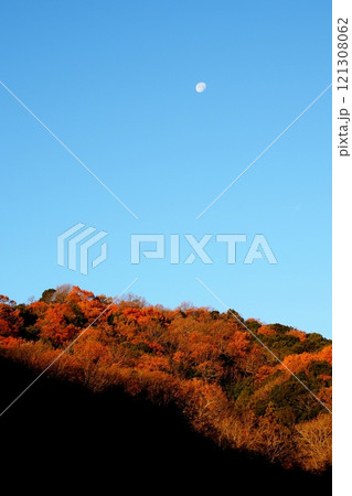 初冬の黄葉の山に沈み行く月 121308062