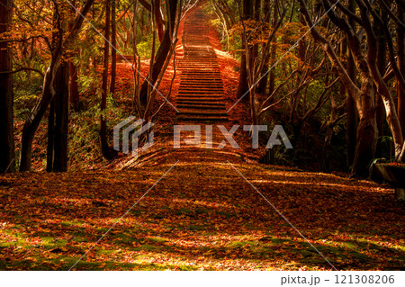 落ち葉の階段 121308206