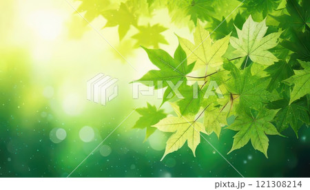 《AI画像》新緑のモミジ 121308214