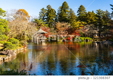 季節を感じる色鮮やかな紅葉 成田山公園 季節を感じる色鮮やかな紅葉 成田山公園 121308307