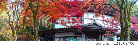 241118日枝神社z056～067-S 121308400