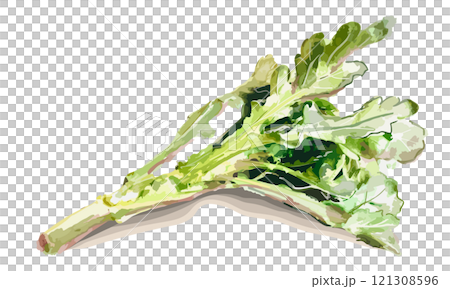 水彩畫的花環菊花插圖 121308596