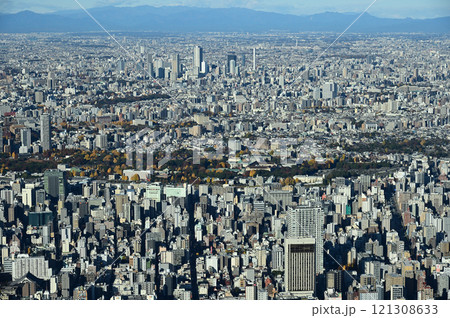 上野公園遠景、東京スカイツリー天望回廊より 121308633