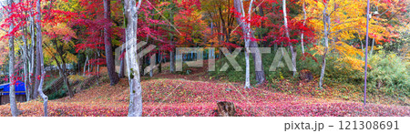 241118日枝神社z046～054-S 121308691