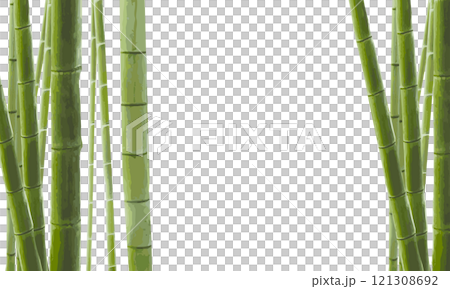 Watercolor bamboo forest frame 121308692