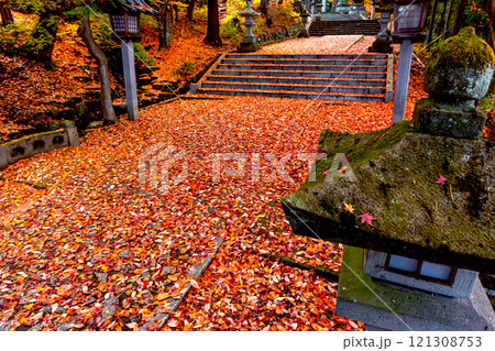241118日枝神社z101 121308753