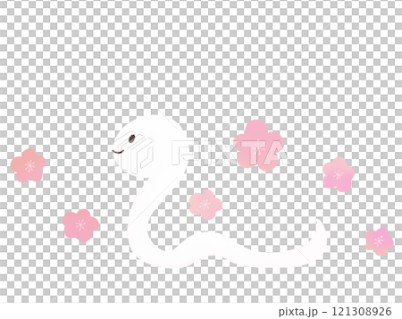 年賀状素材：かわいい白いへびと梅の花のイラスト 121308926