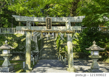 事任八幡宮 鳥居 静岡県掛川市 事任八幡宮 鳥居 静岡県掛川市 121309022