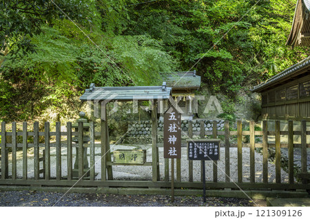 事任八幡宮 五社神社 静岡県掛川市 事任八幡宮 五社神社 静岡県掛川市 121309126