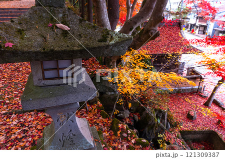 241118日枝神社z133 241118日枝神社z133 121309387