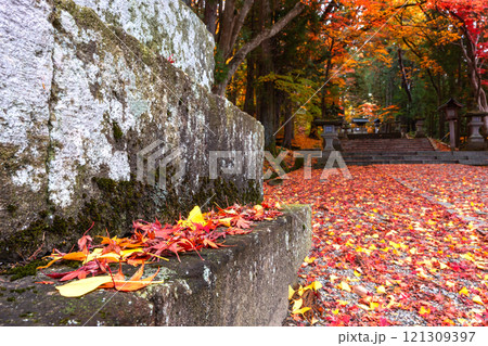 241118日枝神社z166 121309397