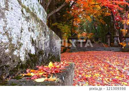 241118日枝神社z168 241118日枝神社z168 121309398