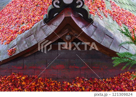 241119日枝神社z003 241119日枝神社z003 121309824