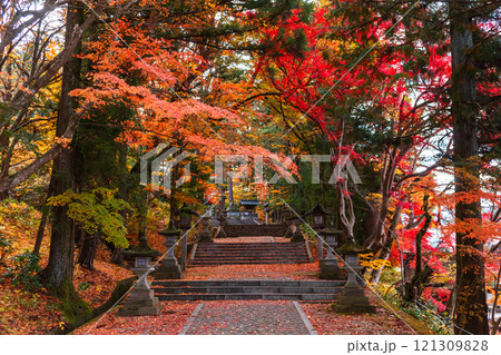 241119日枝神社z011 241119日枝神社z011 121309828