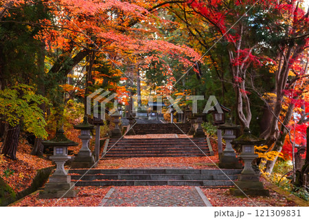 241119日枝神社z014 121309831
