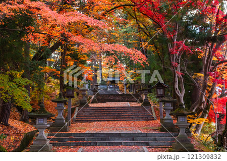 241119日枝神社z016 241119日枝神社z016 121309832