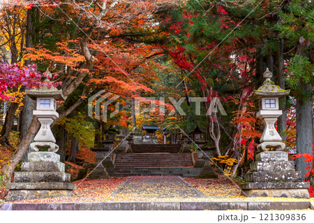 241119日枝神社z020 121309836