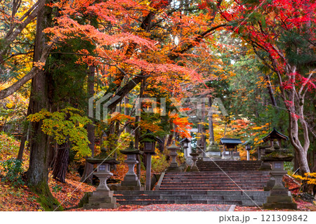 241119日枝神社z030 121309842