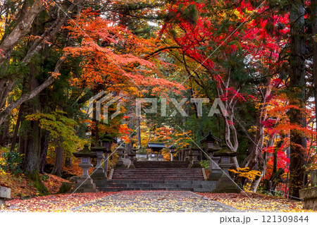 241119日枝神社z032 121309844