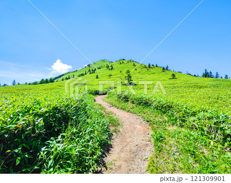 夏の四阿山・根子岳登山（四阿山～根子岳） 121309901