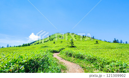 夏の四阿山・根子岳登山(四阿山~根子岳) 夏の四阿山・根子岳登山(四阿山~根子岳) 121309902