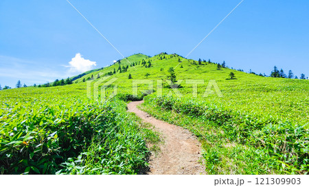 夏の四阿山・根子岳登山（四阿山～根子岳） 121309903