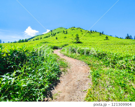 夏の四阿山・根子岳登山（四阿山～根子岳） 121309904