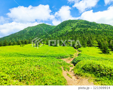 夏の四阿山・根子岳登山（根子岳～四阿山） 121309914