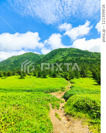 夏の四阿山・根子岳登山（根子岳～四阿山） 121309916