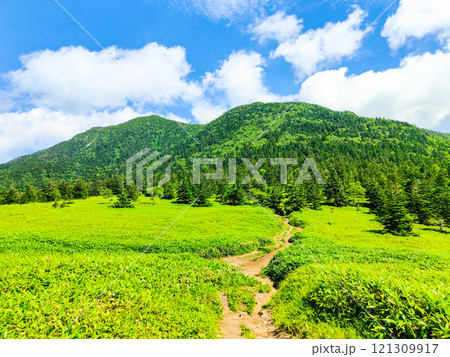 夏の四阿山・根子岳登山（根子岳～四阿山） 121309917