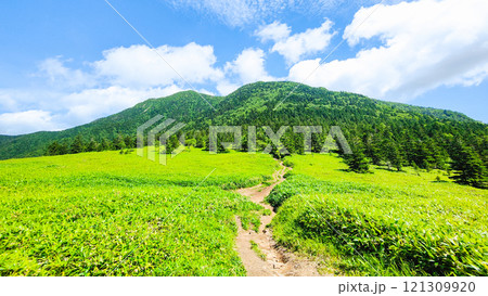 夏の四阿山・根子岳登山（根子岳～四阿山） 121309920