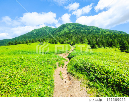 夏の四阿山・根子岳登山（根子岳～四阿山） 121309923