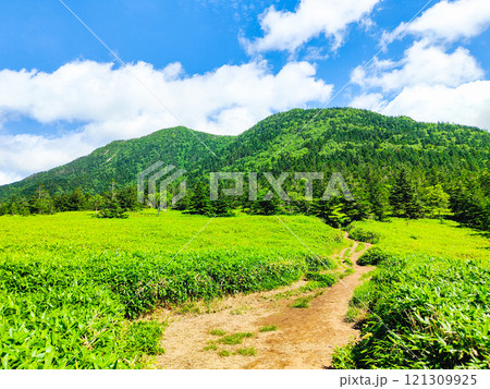 夏の四阿山・根子岳登山(根子岳~四阿山) 夏の四阿山・根子岳登山(根子岳~四阿山) 121309925