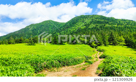 夏の四阿山・根子岳登山（根子岳～四阿山） 121309926