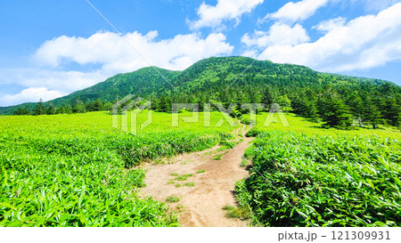 夏の四阿山・根子岳登山（根子岳～四阿山） 121309931