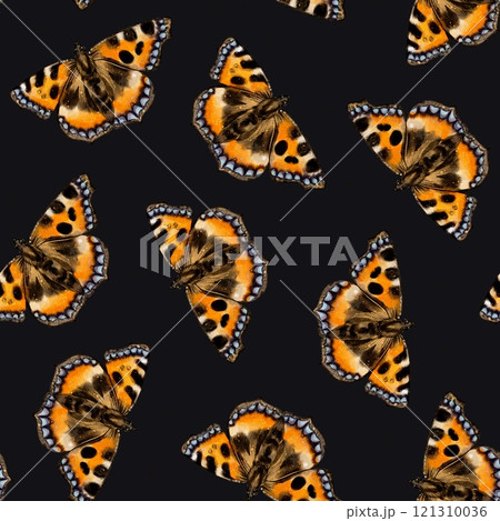 painted lady butterfly, watercolor Seamless pattern 121310036