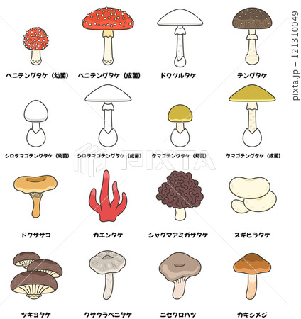 毒キノコのイラストセット 121310049