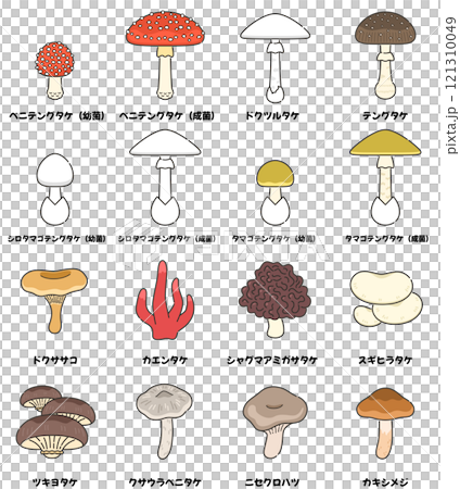 毒キノコのイラストセットのイラスト素材 [121310049] - PIXTA