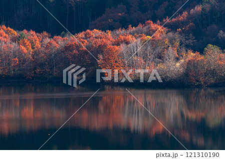 241121丹生川ダムg270 121310190