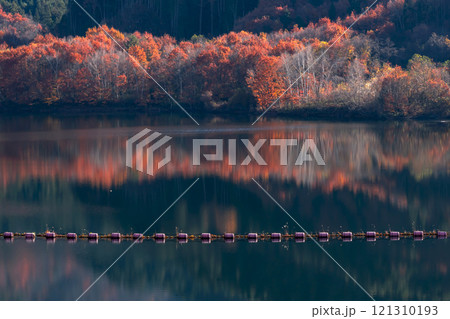 241121丹生川ダムg275 121310193