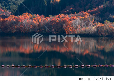 241121丹生川ダムg277 121310194