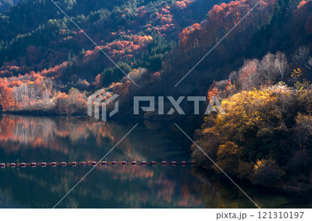 241121丹生川ダムg283 121310197