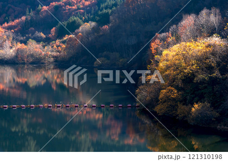 241121丹生川ダムg286 121310198