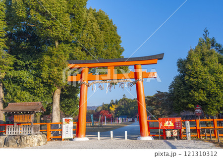 秋の京都　上賀茂神社　一ノ鳥居から見える参道と紅葉 121310312