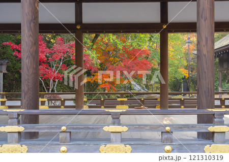 秋の京都 上賀茂神社 橋殿(舞殿)から見える紅葉 秋の京都 上賀茂神社 橋殿(舞殿)から見える紅葉 121310319