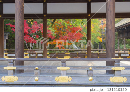 秋の京都 上賀茂神社 橋殿(舞殿)から見える紅葉 秋の京都 上賀茂神社 橋殿(舞殿)から見える紅葉 121310320